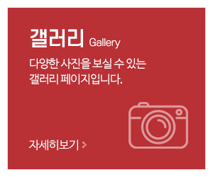 비타민_메인중간_갤러리